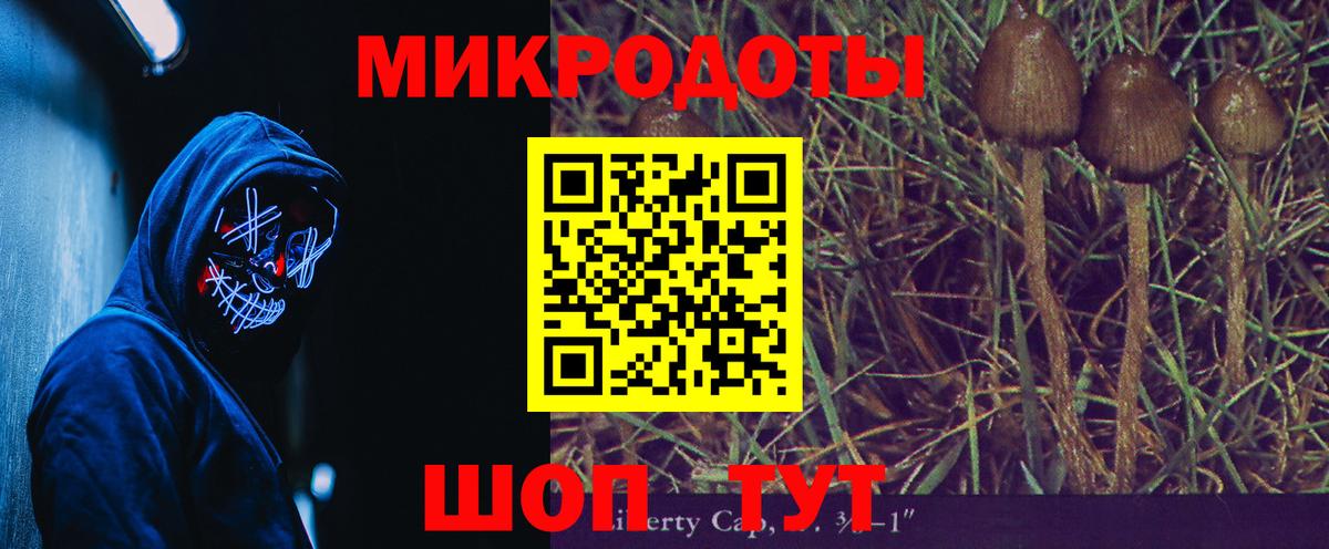 Кириши  Галлюциногенные грибы мицелий  Вход с VPN 
